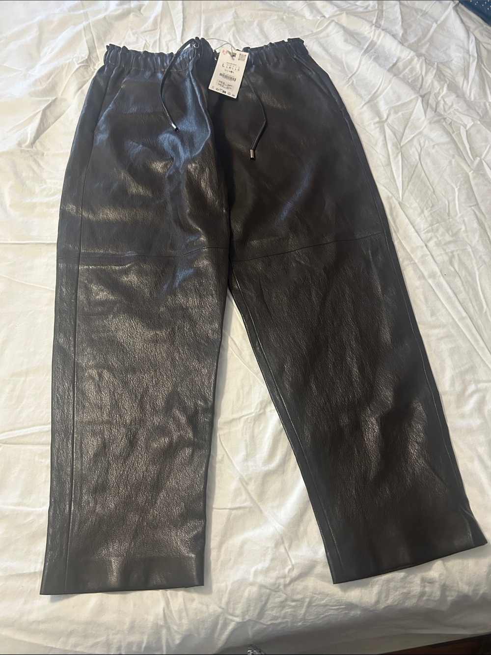 Aritzia Men's Black Faux Leather Joggers